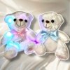Peluche lumineuse