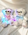 Peluche lumineuse