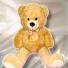 L’ours Bobby XXL